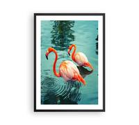 Affiche Poster 50x70cm Tableaux Image Photo Rose Flamants Roses Eau Wall Art