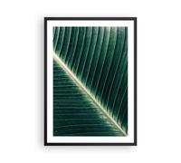 Affiche Poster 50x70cm Tableaux Image Photo Vert Feuille Tropical Wall Art