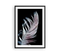 Affiche Poster 50x70cm Tableaux Image Plume Les Couleurs La Délicatesse Wall Art
