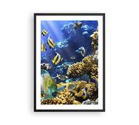Affiche Poster 50x70cm Tableaux Image Récif corallien océan crabe poisson Art