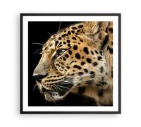 Affiche Poster 60x60cm Tableaux Animaux léopard chat sauvage animaux sauvages