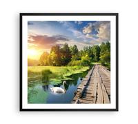 Affiche Poster 60x60cm Tableaux Image architecture promenade Swan Paysage Art