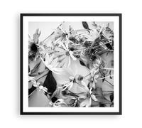 Affiche Poster 60x60cm Tableaux Image Fleurs Noir Et Blanc Photographie Art