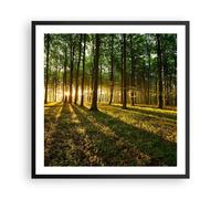 Affiche Poster 60x60cm Tableaux Image Forêt vert rayons du soleil nature Art