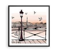 Affiche Poster 60x60cm Tableaux Image France pigeon graphiques illustration Art