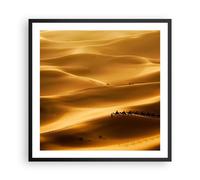 Affiche Poster 60x60cm Tableaux Image Photo Afrique sahara chameau paysage Art