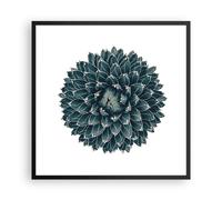 Affiche Poster 60x60cm Tableaux Image Photo Agave Reine Victoria Wall Art