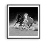 Poster Cadre Noir 60x60 cm Affiche Noir et Blanc Animaux - 4240 - P2B