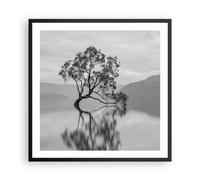 Affiche Poster 60x60cm Tableaux Image Photo Arbre Symétrie Lac Wall Art