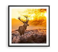 Affiche Poster 60x60cm Tableaux Image Photo Automne paysage nature feuille Art