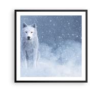 Affiche Poster 60x60cm Tableaux Image Photo Blanc Loup Neige Wall Art