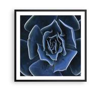 Affiche Poster 60x60cm Tableaux Image Photo Bleu Cactus Fleur Wall Art