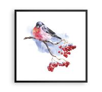 Affiche Poster 60x60cm Tableaux Image Photo Bouvreuil On Branche Wall Art