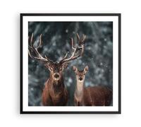 Affiche Poster 60x60cm Tableaux Image Photo Cerf renne chevreuil Wall Art