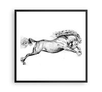 Affiche Poster 60x60cm Tableaux Image Photo Cheval Dessin Crayon Wall Art