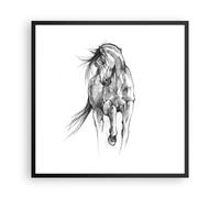 Affiche Poster 60x60cm Tableaux Image Photo Cheval Galop Des Animaux Wall Art