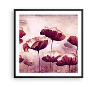 Affiche Poster 60x60cm Tableaux Image Photo coquelicot fleur prairie Wall Art