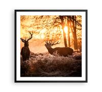 Affiche Poster 60x60cm Tableaux Image Photo Deer bruyère animaux Wall Art