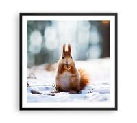 Affiche Poster 60x60cm Tableaux Image Photo Écureuil hiver neige nourriture Art