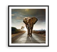 Affiche Poster 60x60cm Tableaux Image Photo Elephant Route Campagne Wall Art