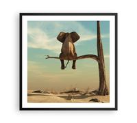 Affiche Poster 60x60cm Tableaux Image Photo Éléphant S'asseyant Branche Wall Art