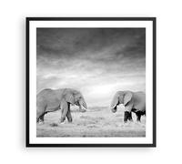 Affiche Poster 60x60cm Tableaux Image Photo Éléphants Noir Et Blanc Safari Art