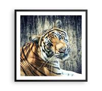 Affiche Poster 60x60cm Tableaux Image Photo Inde pierre tigre sauvage Wall Art