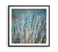 Affiche Poster 60x60cm Tableaux Image Photo Lavande Lame Fleur Wall Art