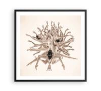 Affiche Poster 60x60cm Tableaux Image Photo Moderne Pièce Ballet Wall Art