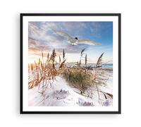Affiche Poster 60x60cm Tableaux Image Photo Mouette Mer Côte Wall Art