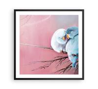 Affiche Poster 60x60cm Tableaux Image Photo Oiseaux Bleu Branche Wall Art