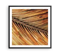 Affiche Poster 60x60cm Tableaux Image Photo Orange Feuille Tropical Wall Art