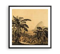 Affiche Poster 60x60cm Tableaux Image Photo Palmiers Forest Des Pluies Wall Art