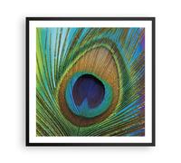Affiche Poster 60x60cm Tableaux Image Photo Paons Plume Arc En Ciel Wall Art