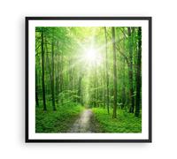 Affiche Poster 60x60cm Tableaux Image Photo Rayons du soleil forêt été Wall Art