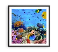 Affiche Poster 60x60cm Tableaux Image Photo Récif de corail Wall Art Decoration