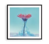 Affiche Poster 60x60cm Tableaux Image Photo Rose Marguerite Encre Wall Art