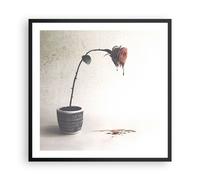 Affiche Poster 60x60cm Tableaux Image Photo Symbole Rose Souffrance Wall Art