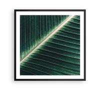 Affiche Poster 60x60cm Tableaux Image Photo Vert Feuille Tropical Wall Art