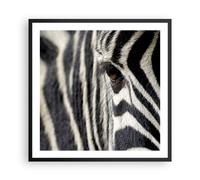 Affiche Poster 60x60cm Tableaux Image Photo Zebra rayures vie sauvage safari Art