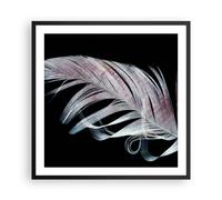 Affiche Poster 60x60cm Tableaux Image Plume Les Couleurs La Délicatesse Art