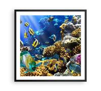 Affiche Poster 60x60cm Tableaux Image Récif corallien océan crabe poisson Art