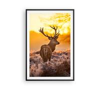 Affiche Poster 61x91cm Tableaux Image Automne paysage nature feuille Wall Art