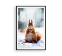 Affiche Poster 61x91cm Tableaux Image Écureuil hiver neige nourriture Wall Art