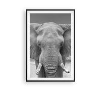 Affiche Poster 61x91cm Tableaux Image Éléphant Afrique Des Animaux Wall Art