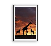 Affiche Poster 61x91cm Tableaux Image Girafe Afrique Soleil Safari Wall Art