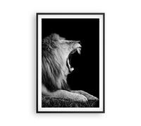 Affiche Poster 61x91cm Tableaux Image Lion Bâillement Noir Et Blanc Wall Art