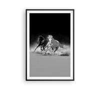 Affiche Poster 61x91cm Tableaux Image Photo Andalouse Chevaux Galop Wall Art