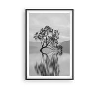 Affiche Poster 61x91cm Tableaux Image Photo Arbre Symétrie Lac Wall Art