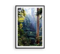 Affiche Poster 61x91cm Tableaux Image Photo Aube Arbres Forêt Wall Art